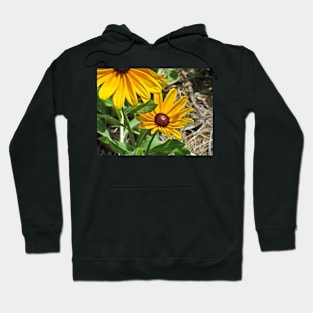 Black-eyed Susans and a Busy Bee Hoodie